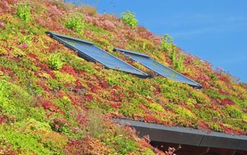 Much Hoole Moss Houses living roof systems