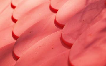 Much Hoole Moss Houses plastic roof costs