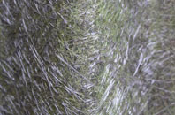 Much Hoole Moss Houses fibreglass roof work