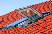 Much Hoole Moss Houses roof window